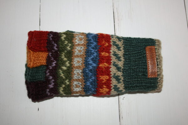 IMG_8821 Rainbow handschoenen