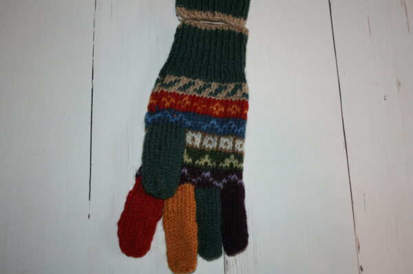 IMG_8823 Rainbow handschoenen